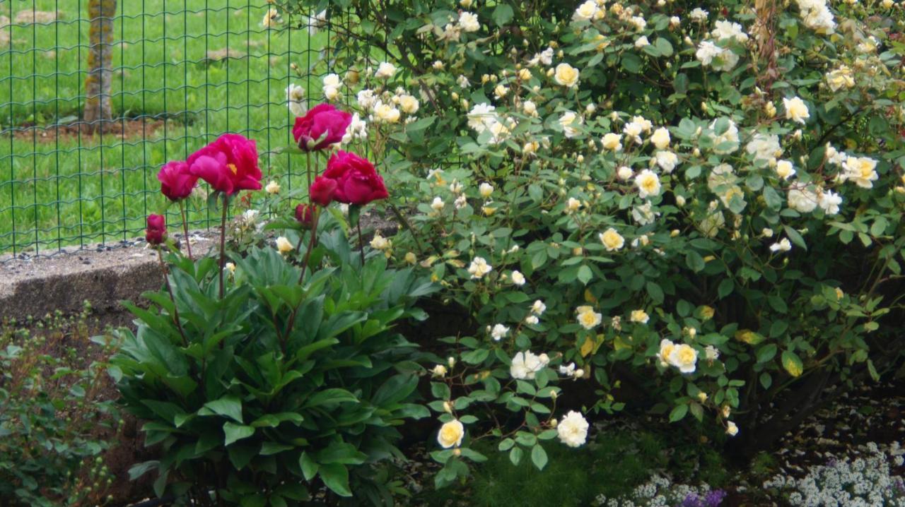 Acaba D'Entrar Bed & Breakfast Le Caylar Dış mekan fotoğraf